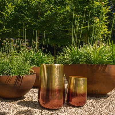 The Two Tone Brass Planter - Brass - XL