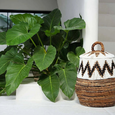 The Little Bay Beach Basket - Natural White - M