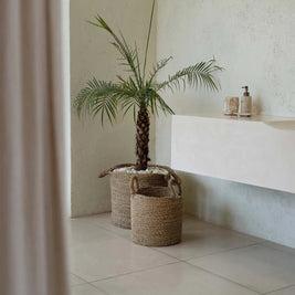 The Sensity Baskets - Natural - M