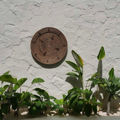 The Jasmine Plate - Brown - XL