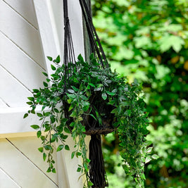 The Macrame Plant Holder - Black - S