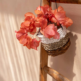 The Banana Plant Hanger - Natural White - S