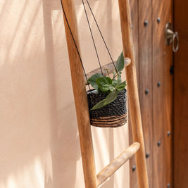 The Banana Plant Hanger - Natural Black - S