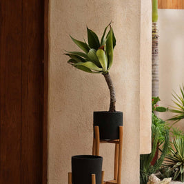 The Charcoal Low - Black Natural - S