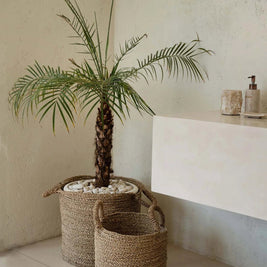 The Sensity Baskets - Natural - XL