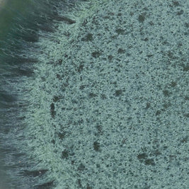 The Aqua Salad Plate