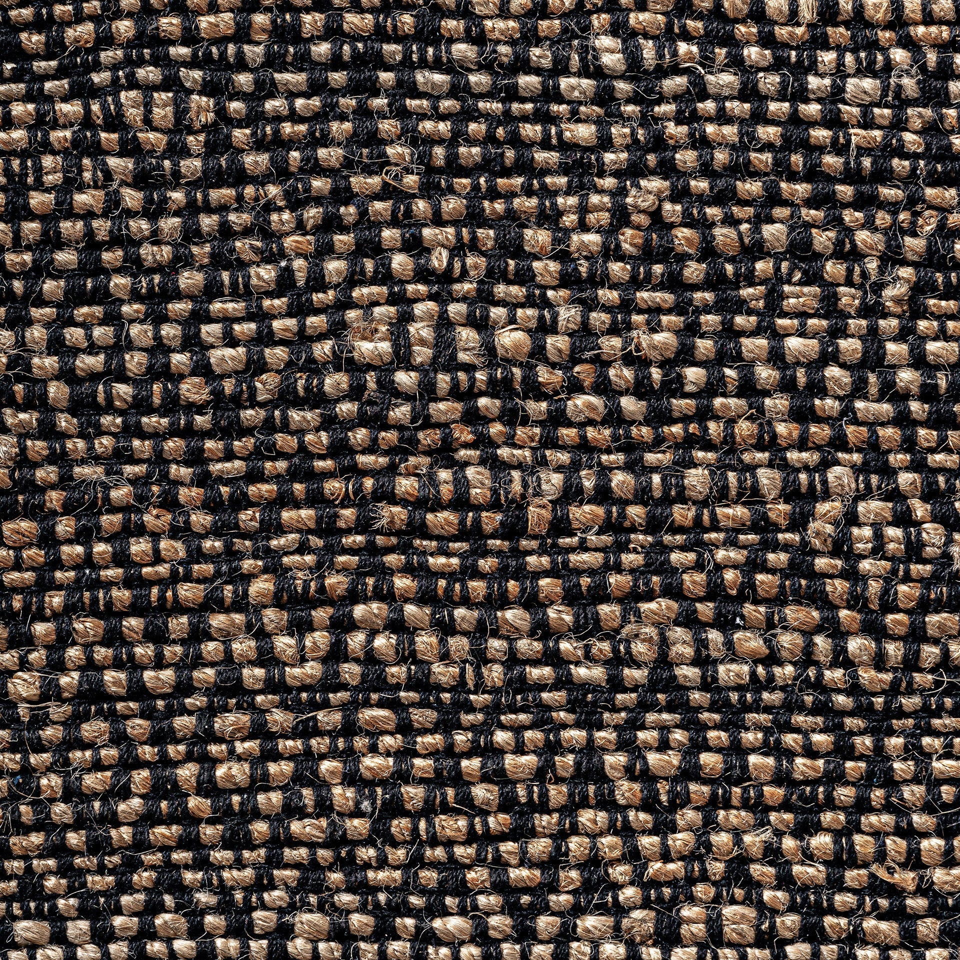 ELARA CARPET in a modern interior setting