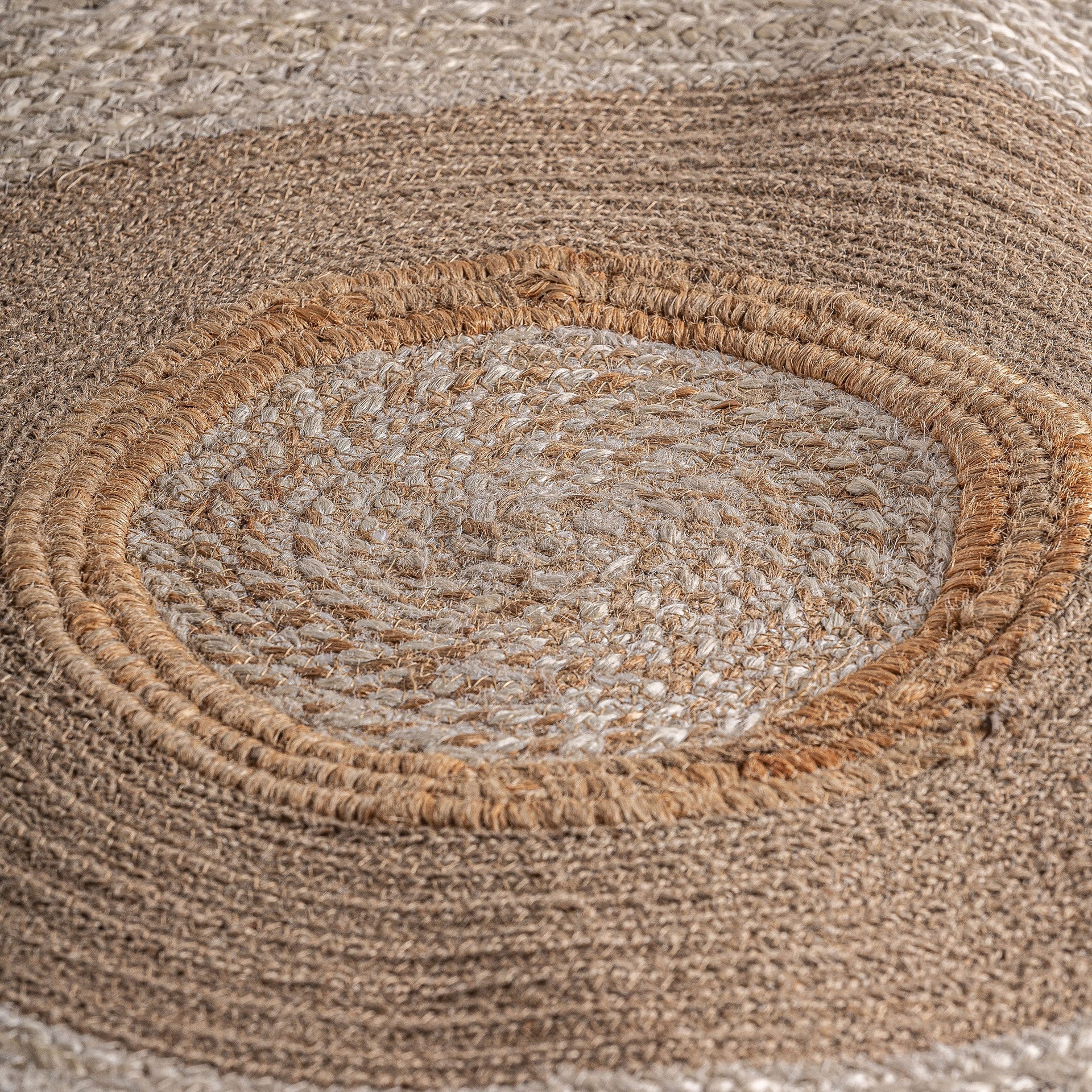 ELA CARPET in a modern interior setting