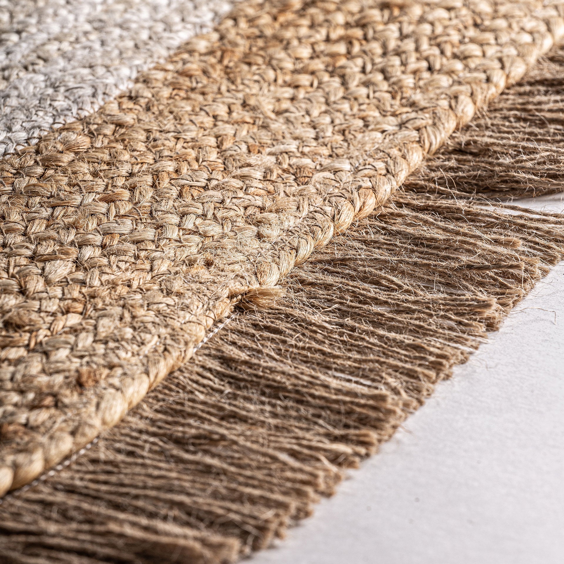ELA CARPET in a modern interior setting