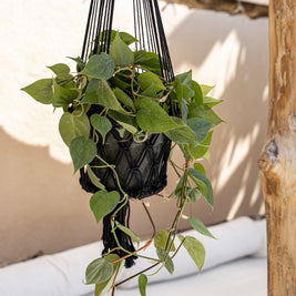 The Macrame Plant Holder - Black - L