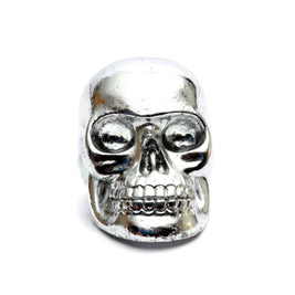 The Resin Skull Head Silver M