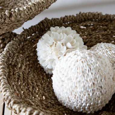 The Bubble Shell Ball - White - M