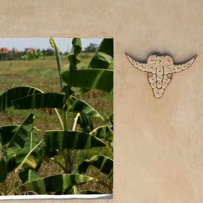 The Bull Shell - White