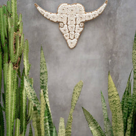 The Bull Shell - White