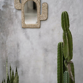 The Cactus Shell Mirror - White