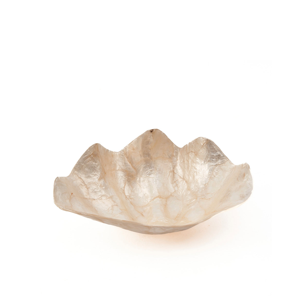 The mother-of-pearl soap dish - white - small