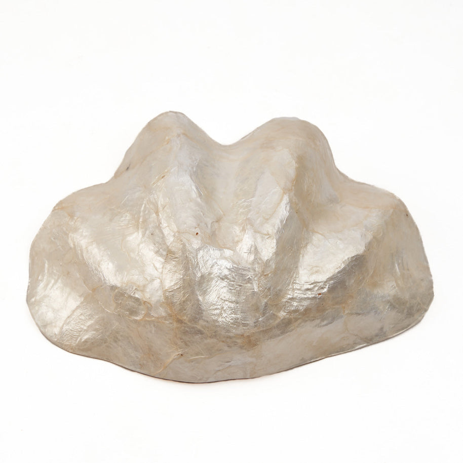The mother-of-pearl soap dish - white - small