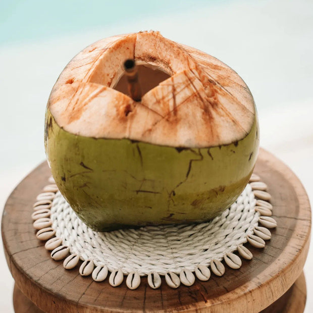 The Seagrass Shell Pan Coaster - White