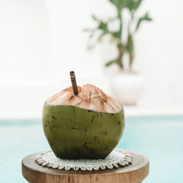 The Seagrass Shell Pan Coaster - White