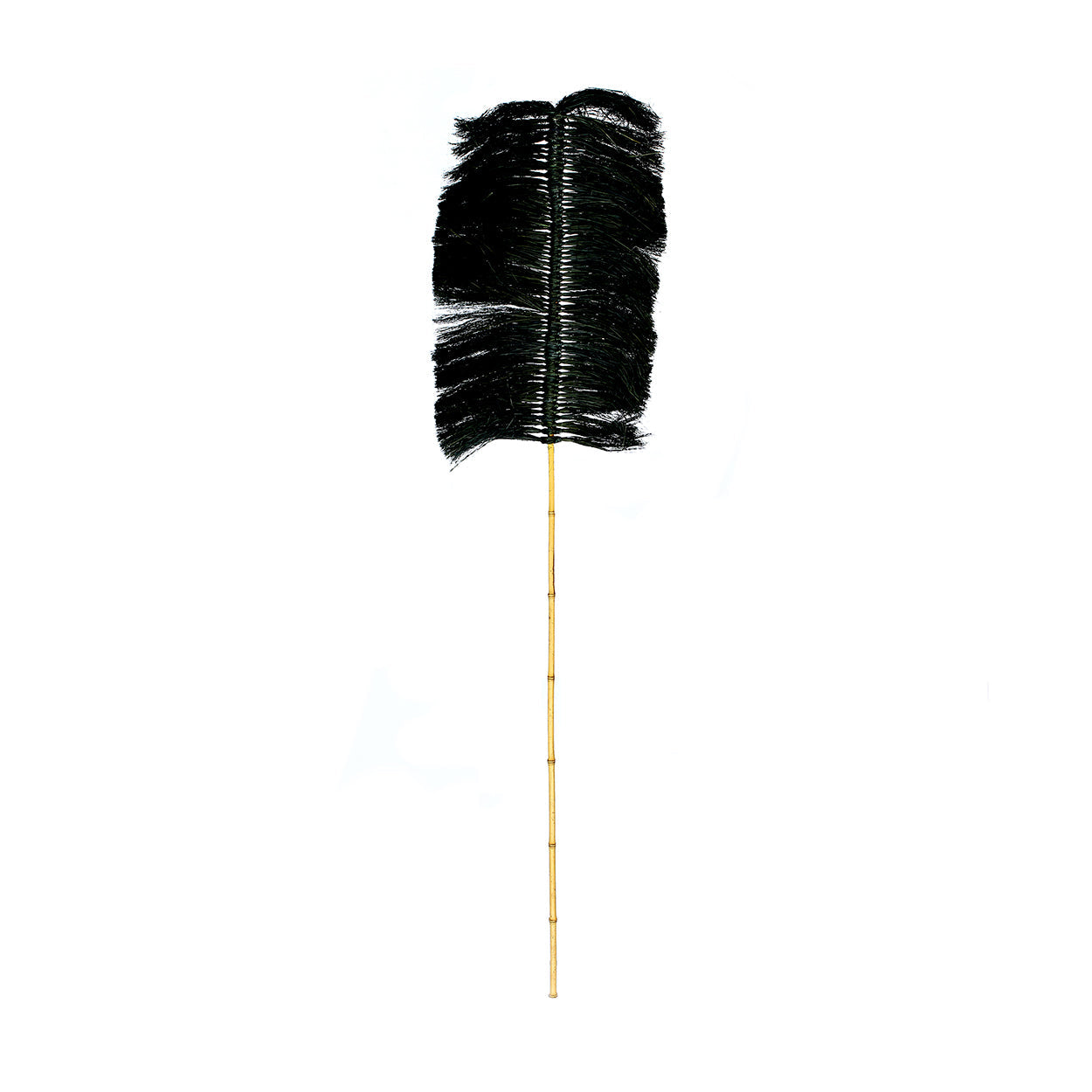Die Raffia Palmeira - Schwarz