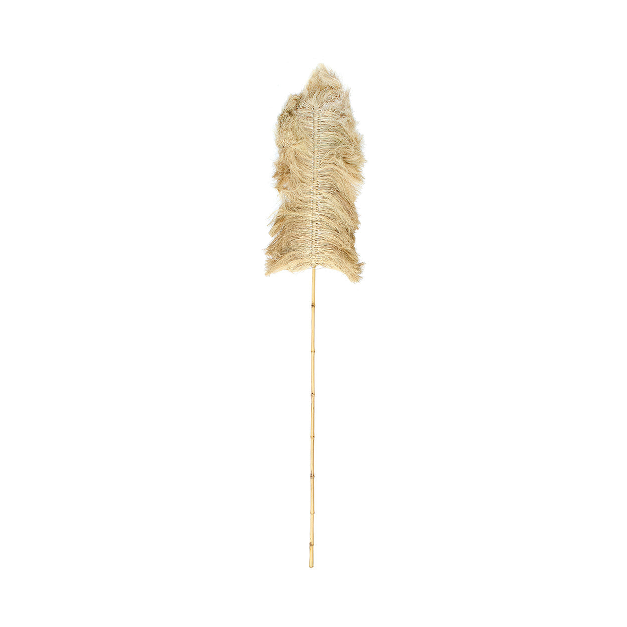 Palm Raffia - Natural