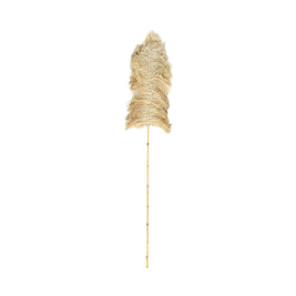 Palm Raffia - Natural