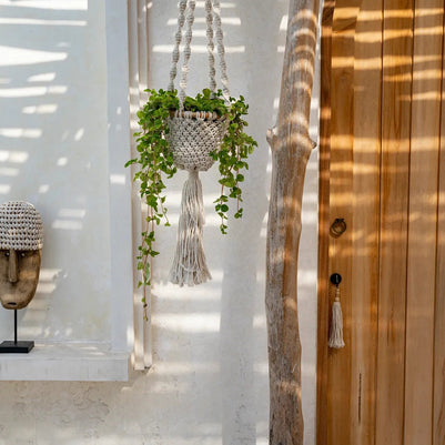 The Cowrie Mask on Stand - Medium