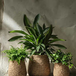 The Fake Braided Planter - Natural - L