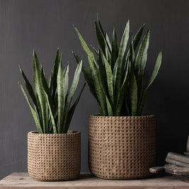The RattanRock Planter - Natural - XL