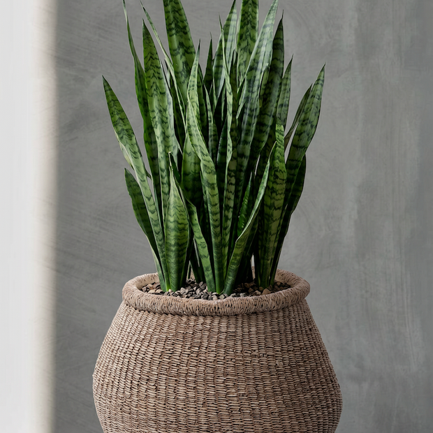 The Faux-Puff Planter - Brown - L