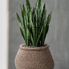 The Faux-Puff Planter - Brown - L