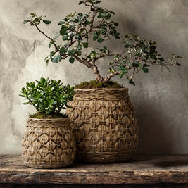 The Knot Concrete Planter - L
