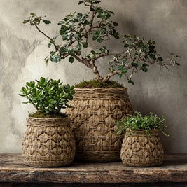 The Knot Concrete Planter - L