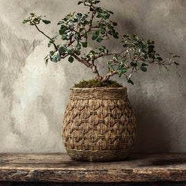 The Knot Concrete Planter - XL