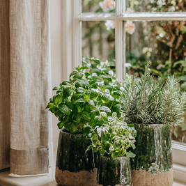 The Moss Conical Planter - Concrete Green - S