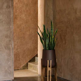 The Forked Root Planter - Natural Brown - Large