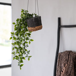 The Banana Plant Hanger - Natural Black - S