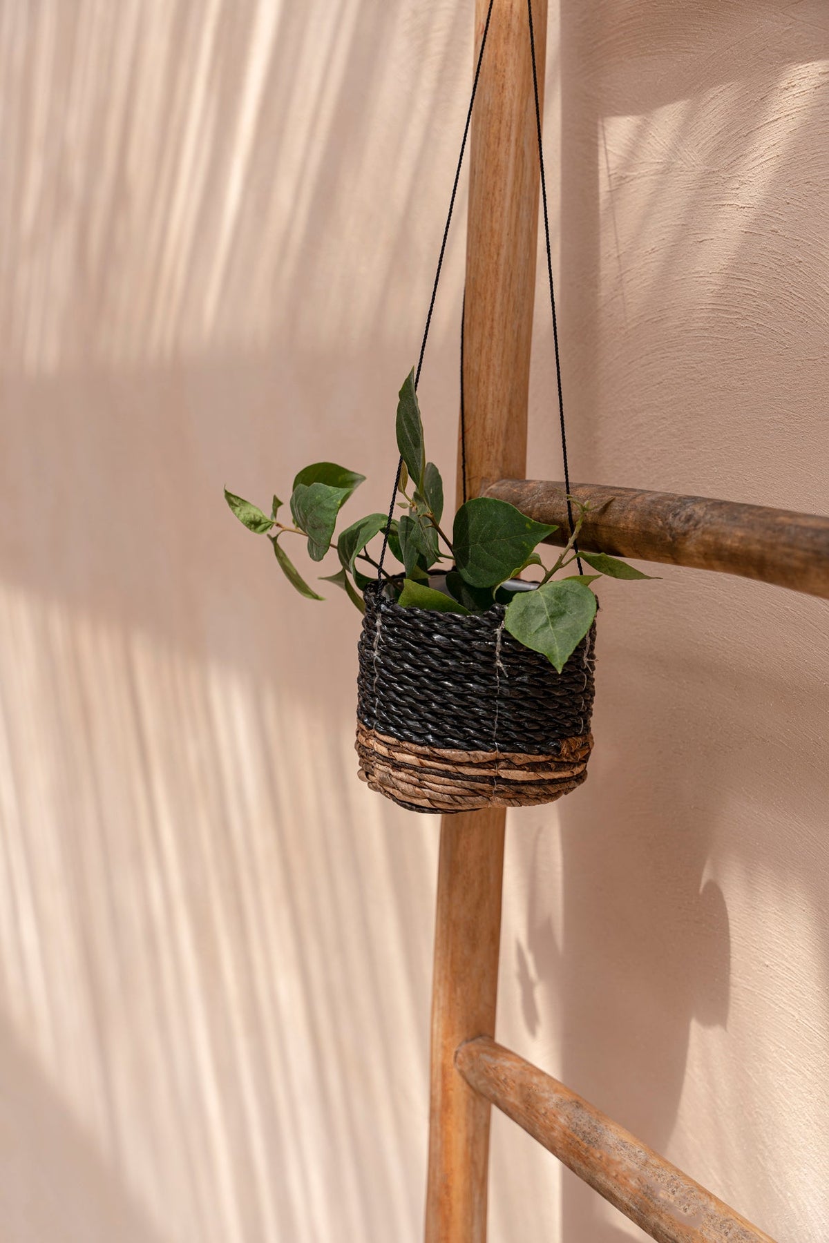 The Banana Plant Hanger - Natural Black - S