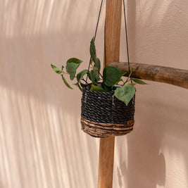 The Banana Plant Hanger - Natural Black - S
