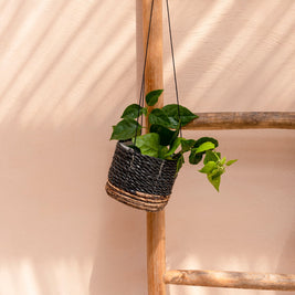 The Banana Plant Hanger - Natural Black - S