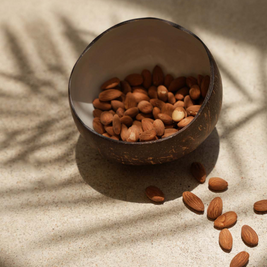 The Coco Food Bowl - Natural White