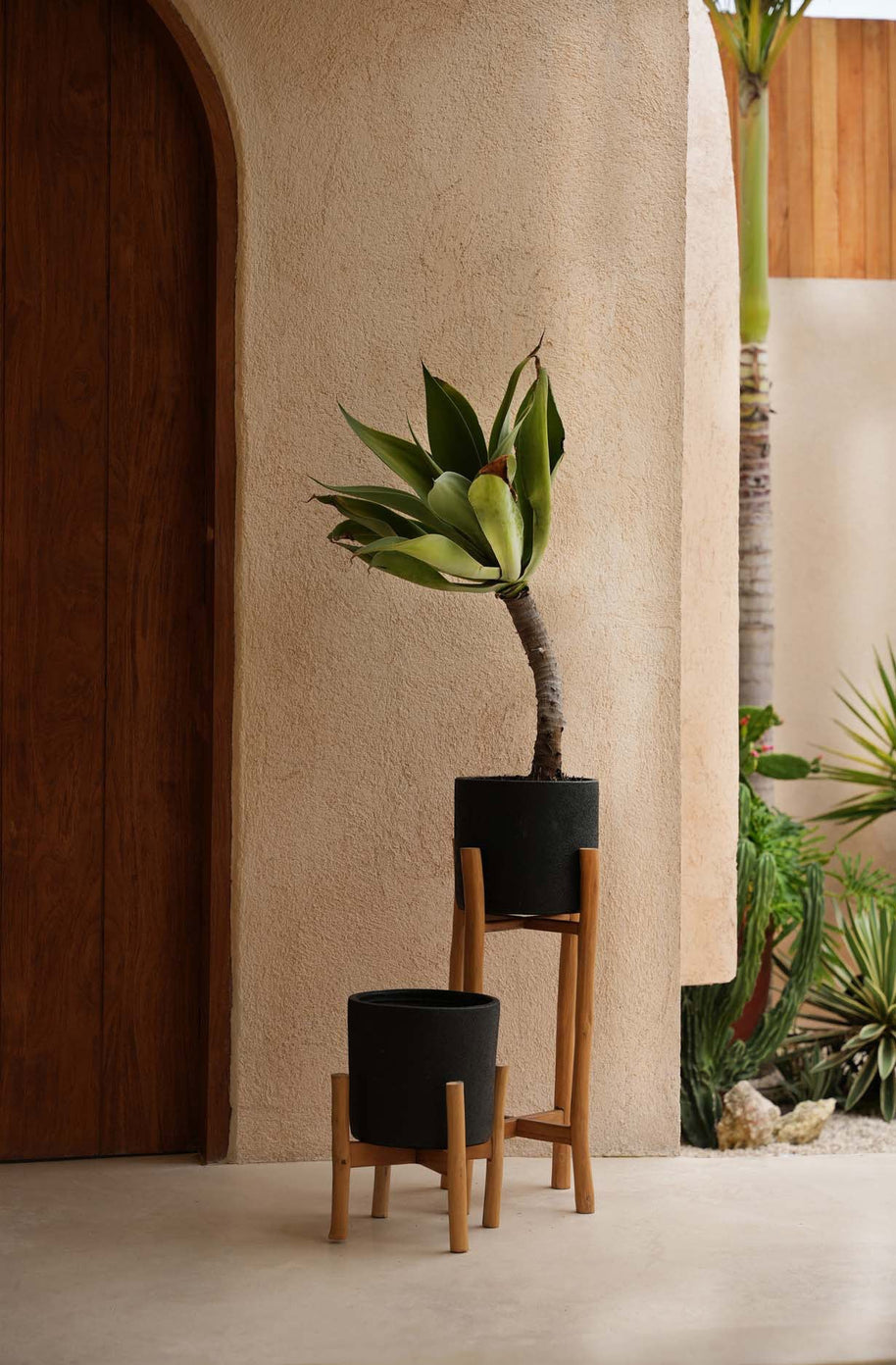 The Charcoal Low - Black Natural - Small