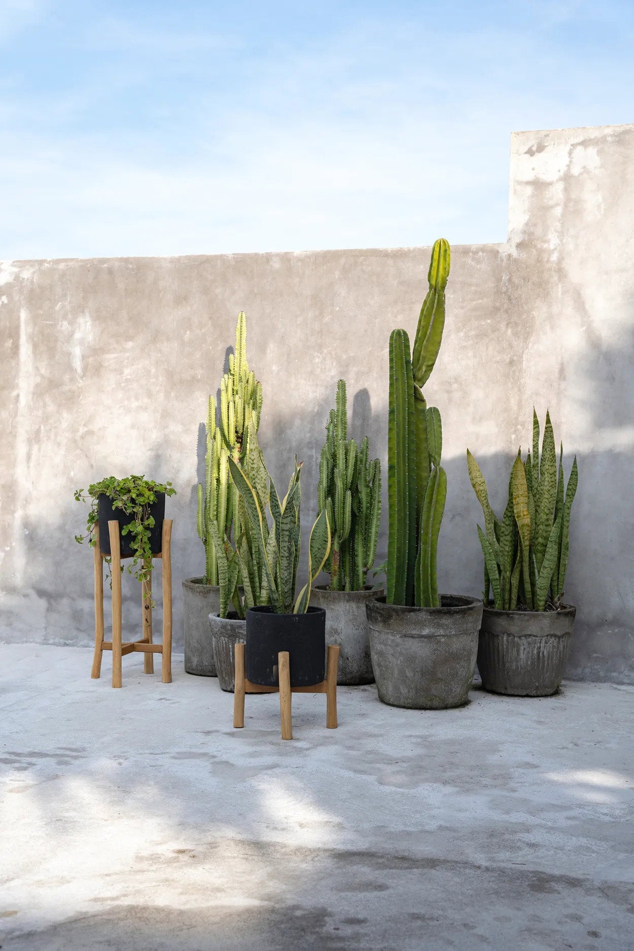 The Charcoal Low - Black Natural - Small