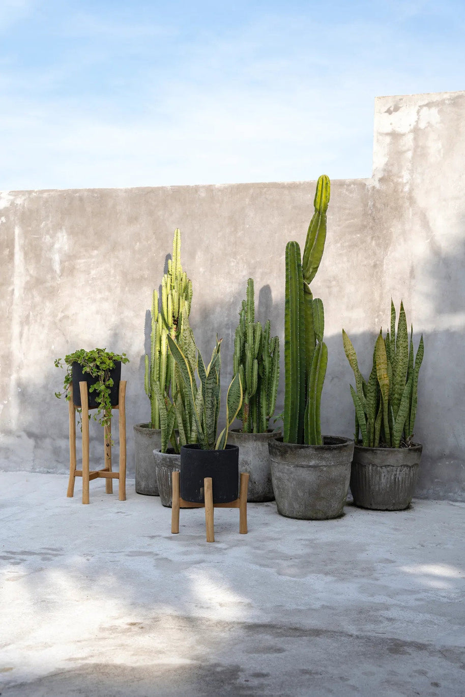 The Charcoal Low - Black Natural - Small